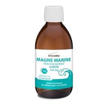 Magne Marine
