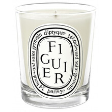 Figuier Sviečka