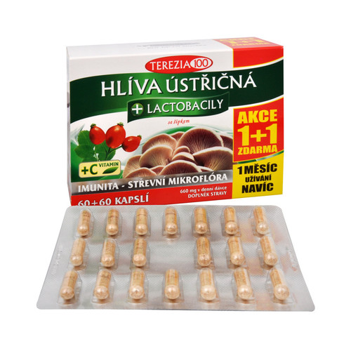 Hliva ustricovitá