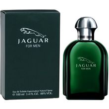Jaguar for